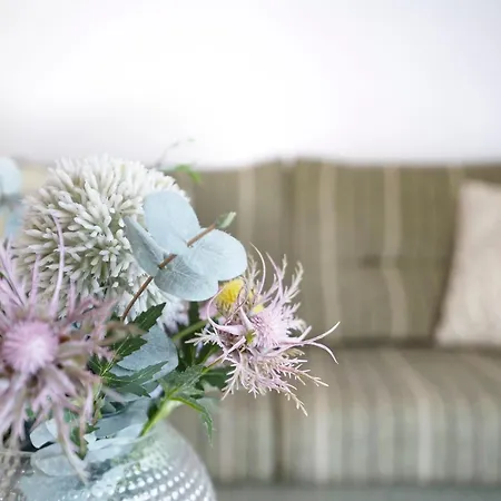 Sandbank 公寓 格洛米茨